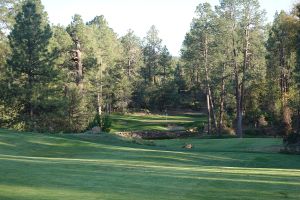 Chaparral Pines 17th Approach